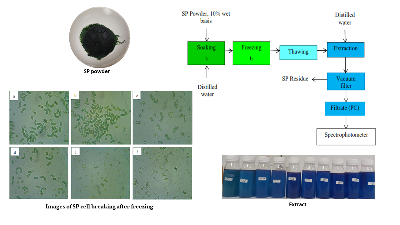 Index terms: Freezing-thawing pre-treatment; Phycocyanin; Spirulina platensis