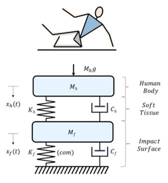 Modelling Human-Structure Interaction in Sideways Fall for Hip Impact Force Estimation