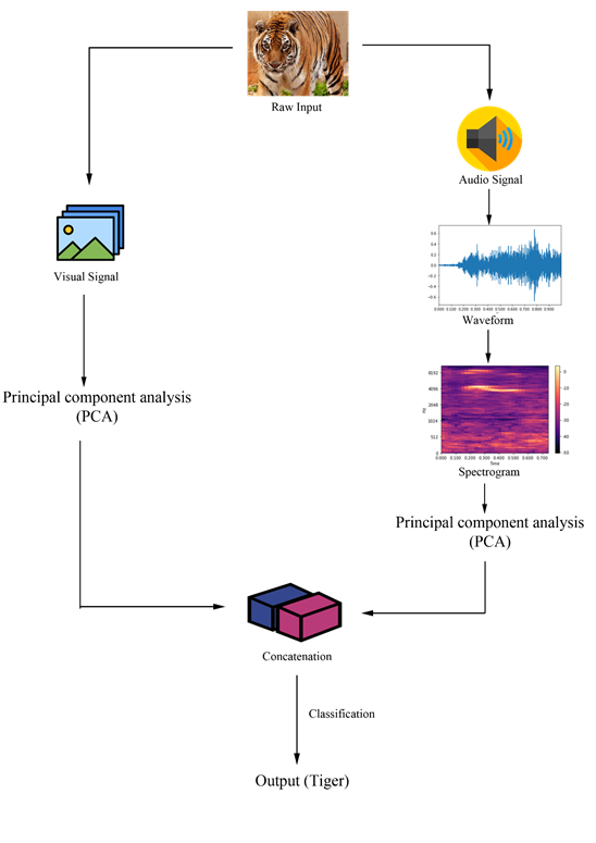 Fusion of Visual and Audio Signals for Wildlife Surveillance