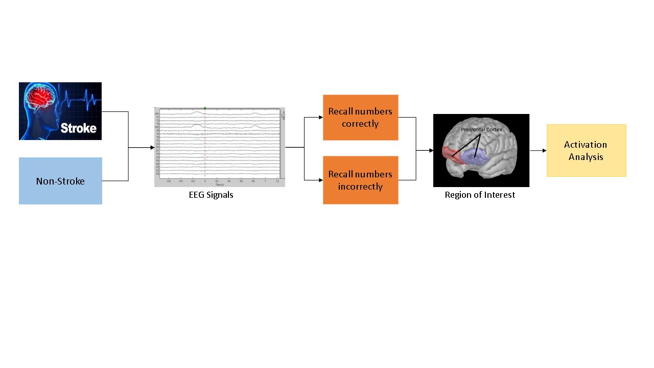 Cognitive Measurement in Vascular Dementia Patients with Prefrontal Cortex Activation Analysis