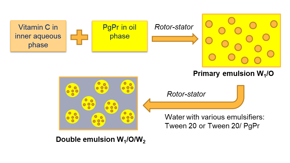 Stability and Kinetic Study of Vitamin C containing Hydrogenated and Middle-Chain Triglyceride Coconut Oil-Based Double Emulsion