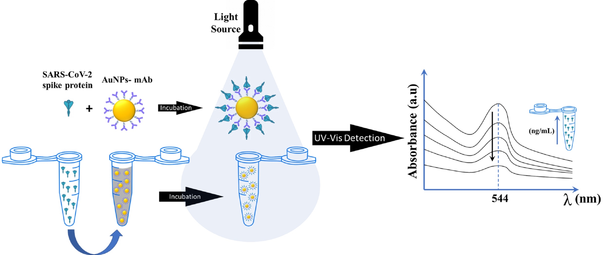 Index terms: Colorimetric sensor; Gold nanoparticles (AuNPs); SARS-CoV-2 