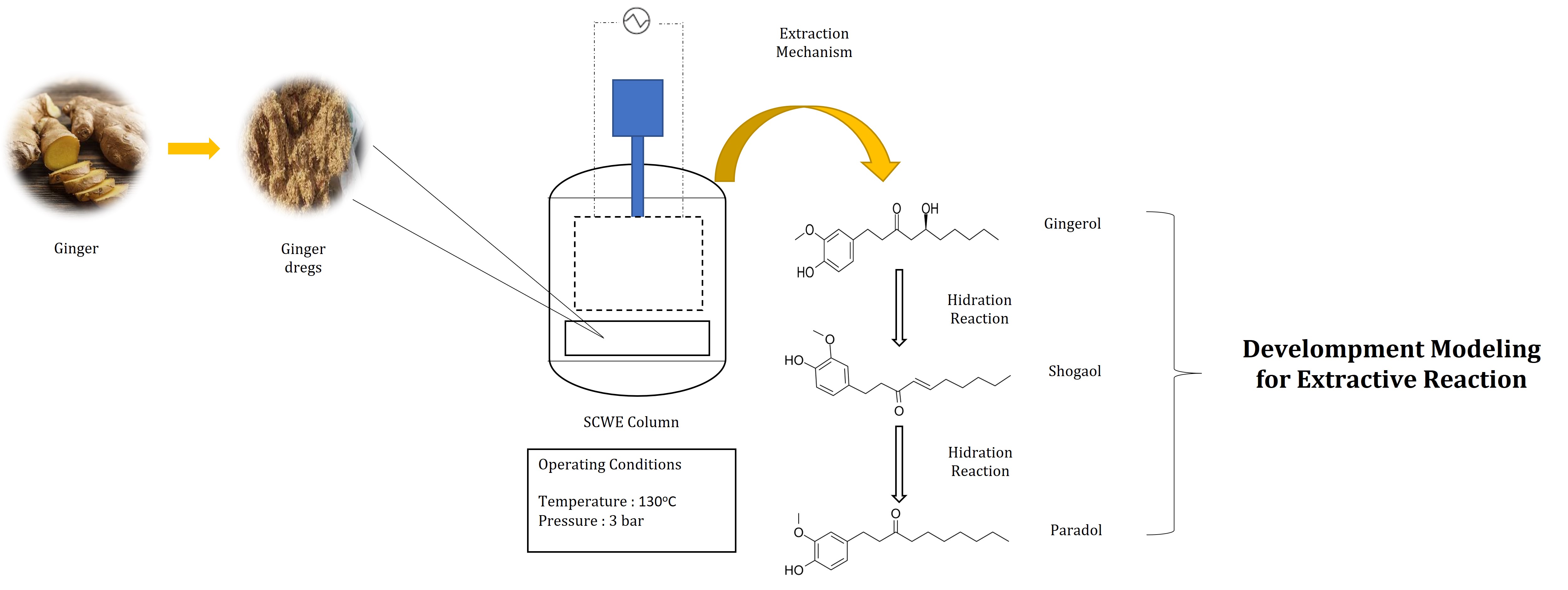 Index terms: Diffusivity; Extraction; Modeling; Paradol; Subcritical water
