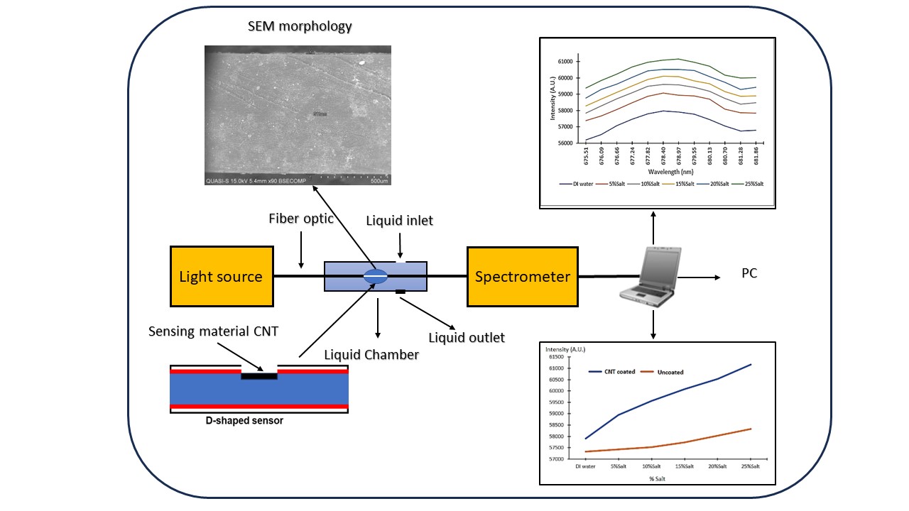 Development of Optical Fiber Sensor for Water Salinity Detection