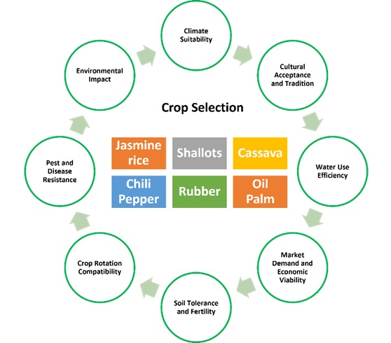 Index terms: Crop selection; Hierarchical analysis approach; Northeastern Thailand; Sustainable farming