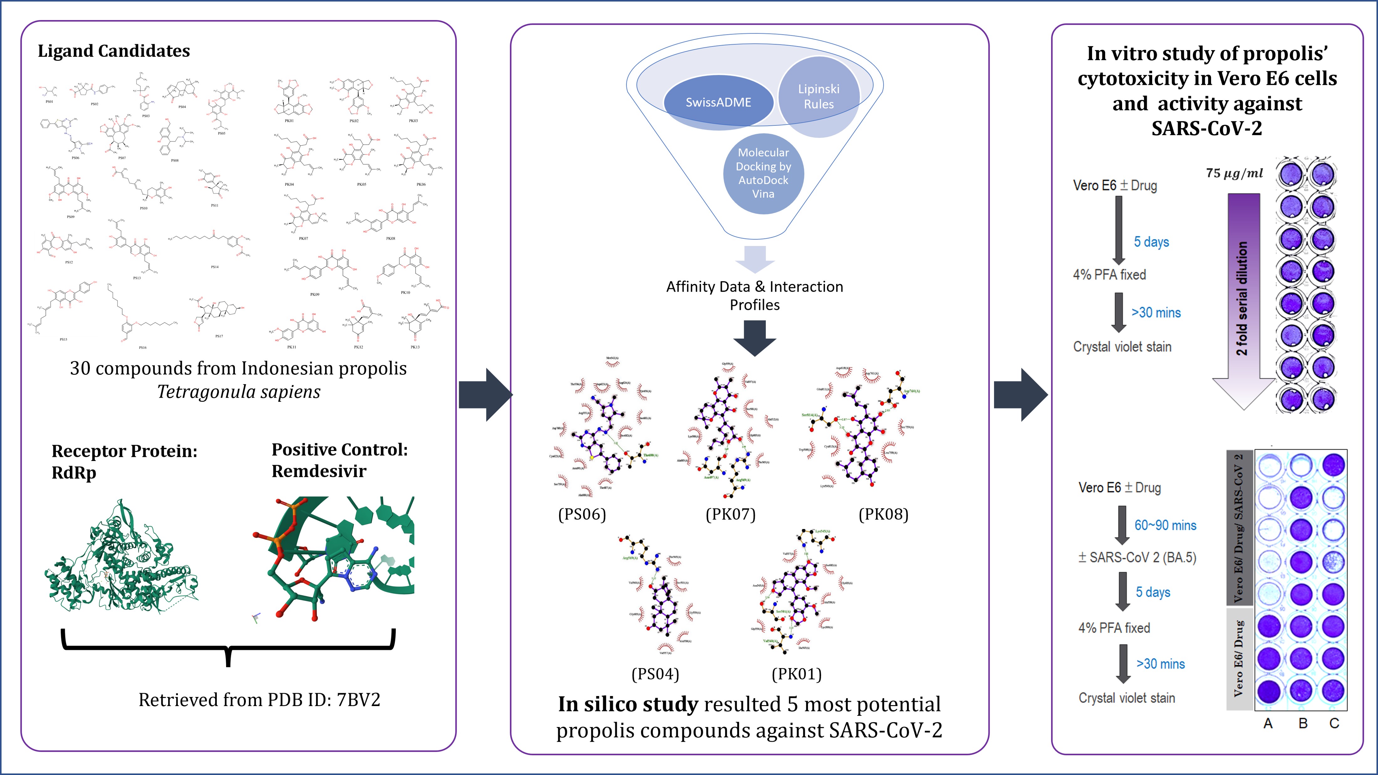 Index terms: Antiviral; In silico; In vitro; Propolis; RdRp; SARS-CoV-2; Vero E6 cells