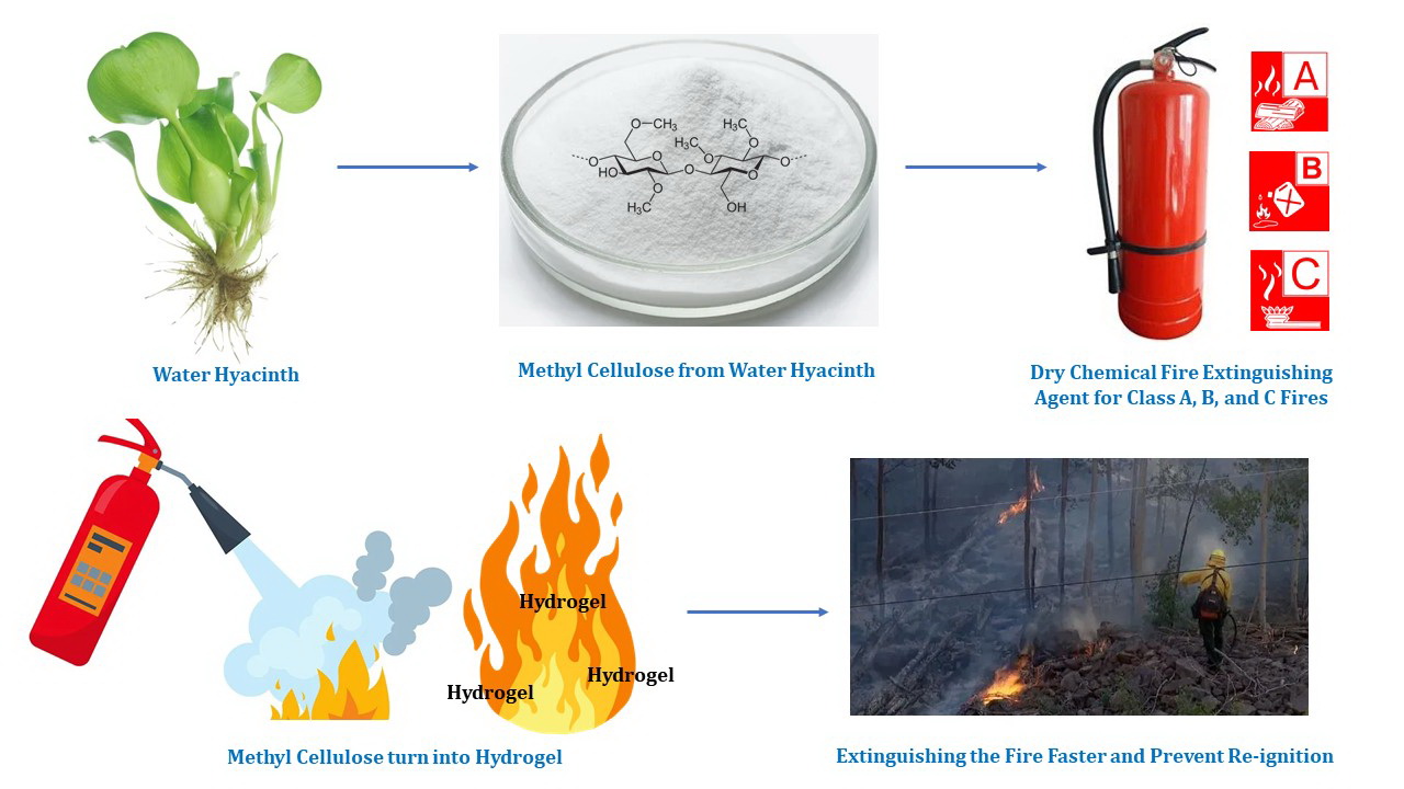 Index terms: Cellulose hydrogel; Class B; Fire extinguisher; Water hyacinth