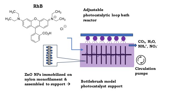 Immobilization Method of ZnO Nanoparticles on Nylon Monofilament Assembled as a Bottle Brush Model and Photocatalytic Activities on Rhodamine B Decomposition Immobilization Method of ZnO Nanoparticles on Nylon Monofilament Assembled as a Bottle Brush Model and Photocatalytic Activities on Rhodamine B Decomposition