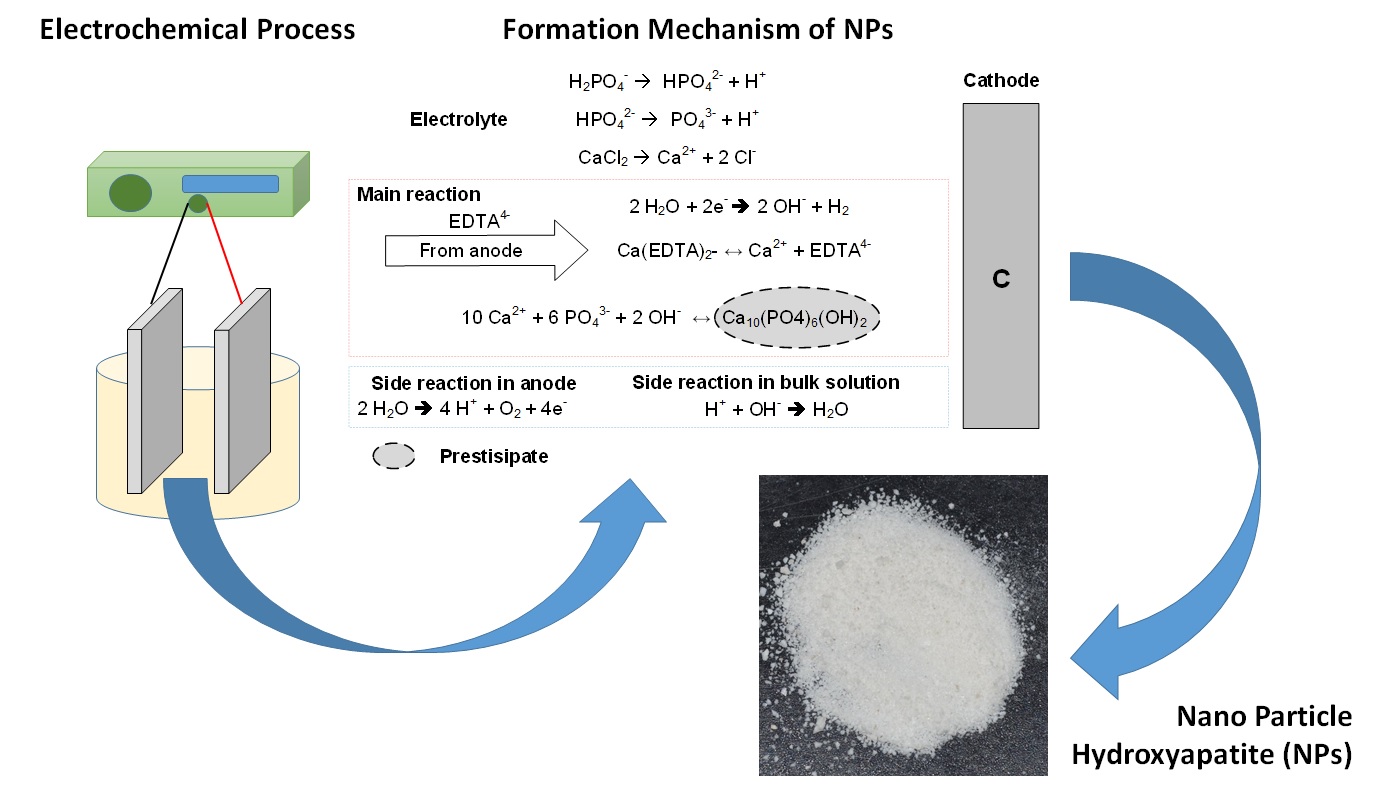 PDF) Development of hydroxiapatite porous bioceramics for use as